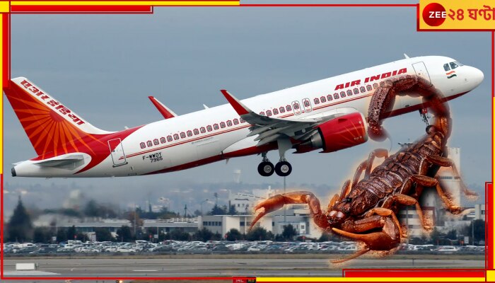 Air India: মাঝ আকাশে মহিলা যাত্রীকে কামড়ে দিল কাঁকড়া বিছে, তোলপাড় বিমান 