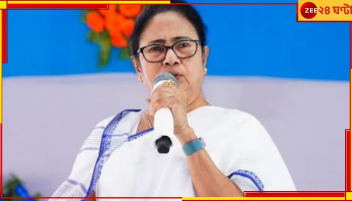 Mamata Banerjee: &#039;না জেনে বিদ্যাসাগরের মূর্তিও ভেঙে ফেলা যায়&#039;, বিজেপিকে নিশানা মুখ্য়মন্ত্রীর