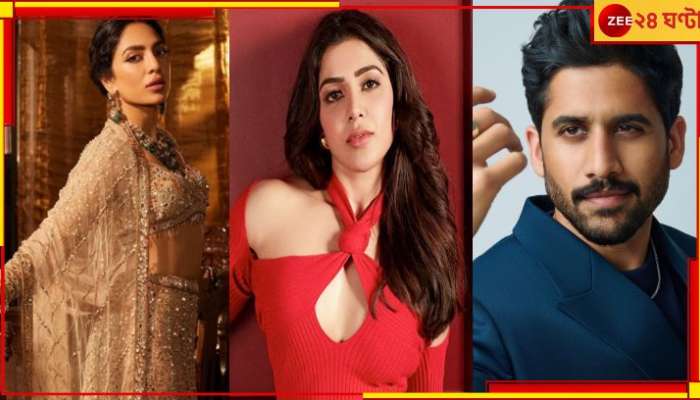 Sobhita Dhulipala: প্রেমে জুটেছে সামান্থার 'ঘরভাঙানি' তকমা, 'কোনও ভুল করিনি' জানালেন অভিনেত্রী...