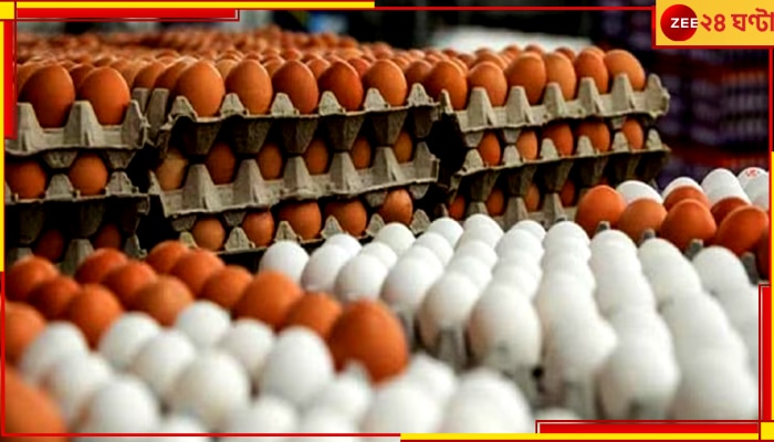 Egg Price Hike: চড়চড়িয়ে বাড়ল দাম, মধ্যবিত্তের নাগালের বাইরে ডিম