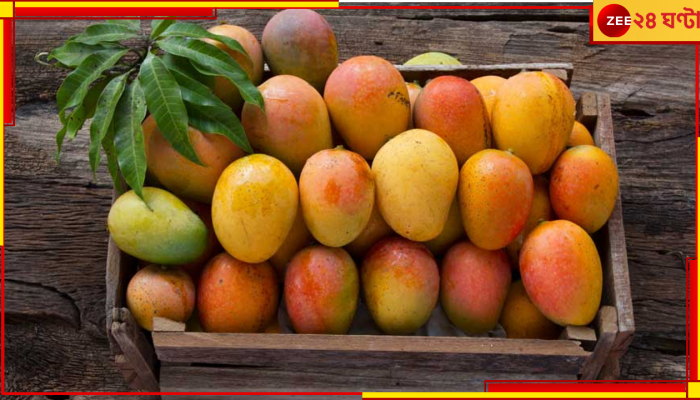 রসালো সুস্বাদু মালদার আম এক ক্লিকেই এবার ঘরে আপনার হাতের মুঠোয়!
