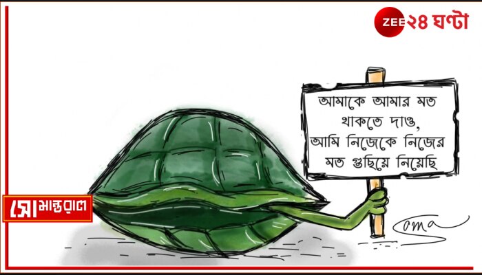Week 9 | Daily Cartoon | সোমান্তরাল | আদিম কালের কাছিম-টিম!