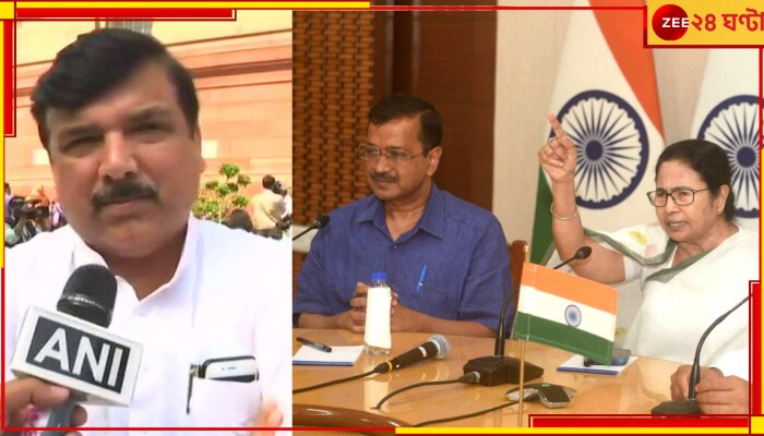 Kejri Mamata Meet: মমতার সঙ্গে বৈঠকের পরই আপ নেতাদের দুয়ারে ইডি, মাটি পাচ্ছে প্রতিহিংসার তত্ত্ব