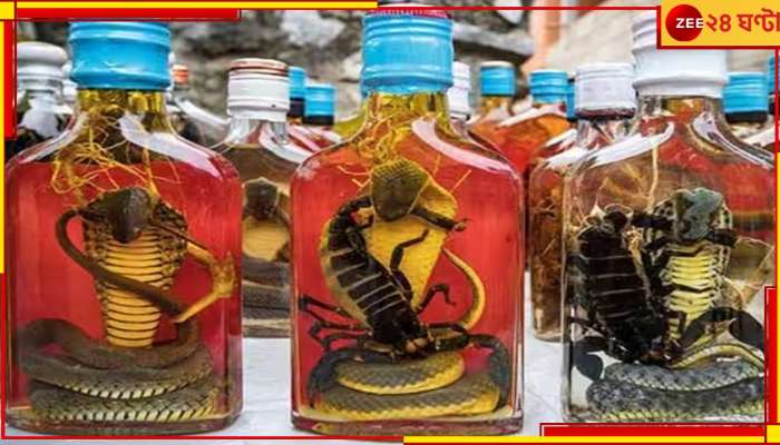 Snake Wine: একাধিক দেশে অত্যন্ত জনপ্রিয় &#039;স্নেক ওয়াইন&#039;, এটি খাওয়া কি স্বাস্থ্যকর? 