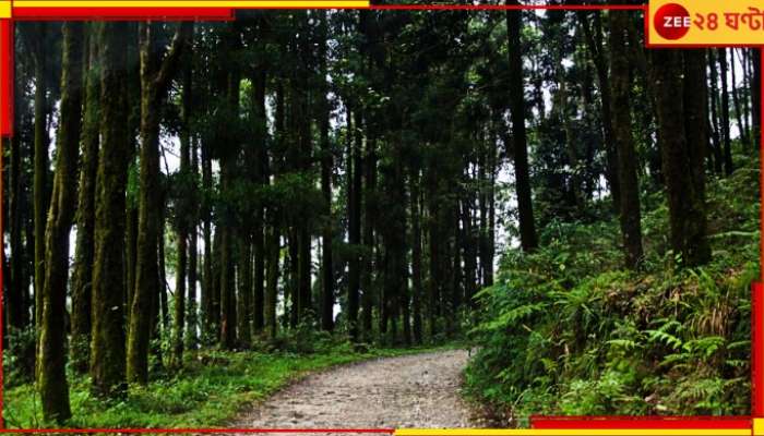 Malbazar: বন্যপ্রাণী শিকার এবং জঙ্গলের কাঠ পাচার রুখতে নতুন করে পরিকল্পনা করছে বন দফতর...