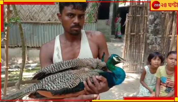 Malbazar: ভয়ংকর এই তাপপ্রবাহ সহ্য করতে পারছে না বন্যরাও! ঢুকে পড়ছে লোকালয়ে...