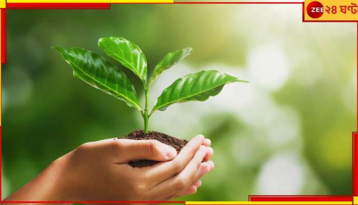 World Environment Day: আগাগোড়া &#039;গ্রিন&#039; থাকতে চান? এই ছ&#039;টি উপায় মেনে চললেই হাতে-হাতে ফল...