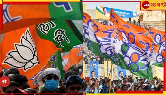 Panchayat Election 2023: বিজেপির দেওয়াল লিখন মুছছে দুষ্কৃতীরা! ধরা পড়ল সিসিটিভিতে