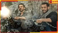 Tiger 3: সলমান-ক্যাটরিনার ‘টাইগার থ্রি'র সঙ্গে অ্যাভেঞ্জারসের যোগ?