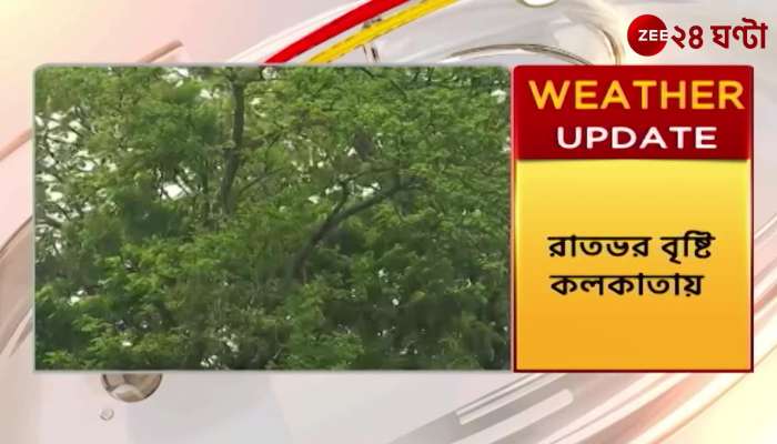 A tree fell down on Kolkatas Rasbehari Avenue due to overnight rains