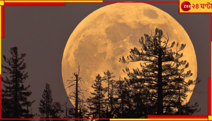 July Supermoon: হাত বাড়ালেই চাঁদ! আজ সন্ধে হলেই পৃথিবীর ঘাড়ে নিশ্বাস ফেলবে সুপারমুন...