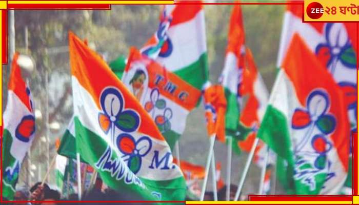 WB Panchayat Election 2023: বিরোধী শূন্য ৯ জেলা, তৃণমূলের জয়জয়কার জেলা পরিষদে