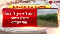 Rejinagar: রেজিনগরের ৪টি গ্রামে তল্লাশিতে উদ্ধার ব্যাপক পরিমাণে 'বোমা' | Zee 24 Ghanta 