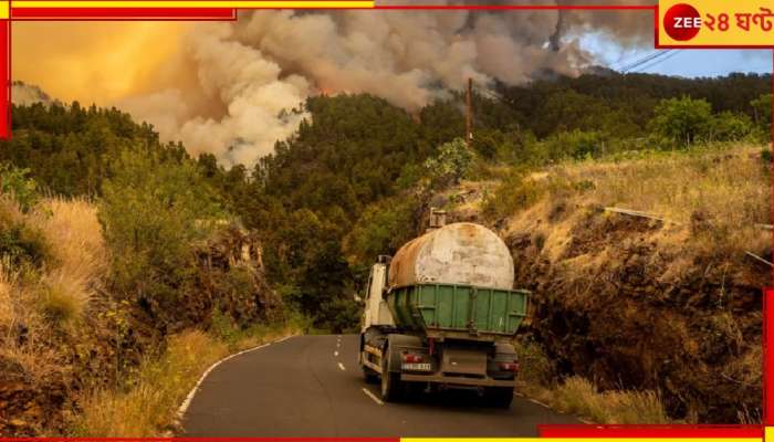 Spain: আগুনের গ্রাসে শহরের পর শহর, জ্বলে-পুড়ে খাক ১১ হাজার হেক্টর জমি...