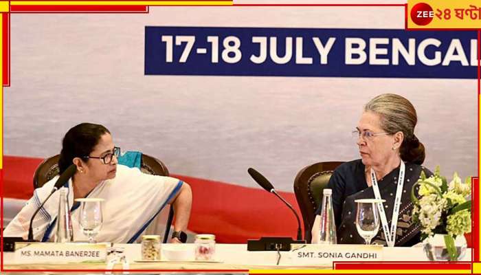 Mamata Banerjee, Opposition Meet: 'সবাই একসঙ্গে আছি, ওরা Worried!' হাসতে হাসতে এনডিএ বৈঠককে বিঁধলেন মমতা