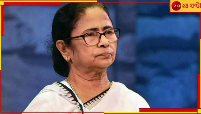 Mamata Banerjee: মমতাকে খুনের চেষ্টা? &#039;পুলিস&#039; লেখা গাড়িতে আগ্নেয়াস্ত্র নিয়ে ঢোকার চেষ্টা যুবকের!