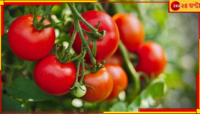 Tomatoes Price: এত দাম? টমেটোর বদলে লেবু খাওয়ার পরামর্শ মন্ত্রীর