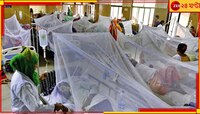 মহামারির আকার নিচ্ছে ডেঙ্গি! রোগীর চাপ সামলাতে এবার হাসপাতালে 'গেটকিপিং' 