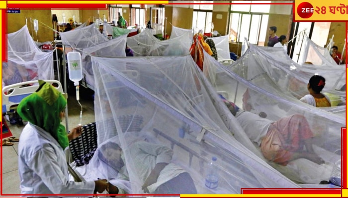 Dengue in Bangladesh: মহামারির আকার নিচ্ছে ডেঙ্গি! রোগীর চাপ সামলাতে এবার হাসপাতালে &#039;গেটকিপিং&#039; 