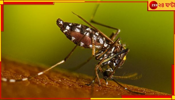 Dengue: আক্রান্তের সংখ্যা হাজারেরও বেশি! কলকাতায় ডেঙ্গিতে মৃত্যু শিশুর