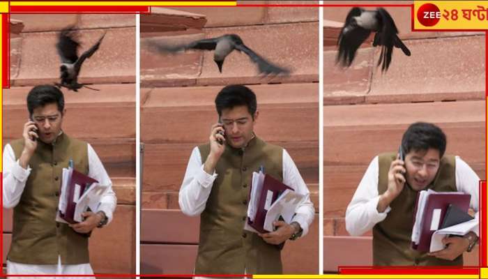 Raghav Chadha | AAP: রাঘব চাড্ডাকে কাকের ঠোক্কর! বিজেপির কটাক্ষ,&#039;ঝুট বোলে কাউয়া কাটে&#039;