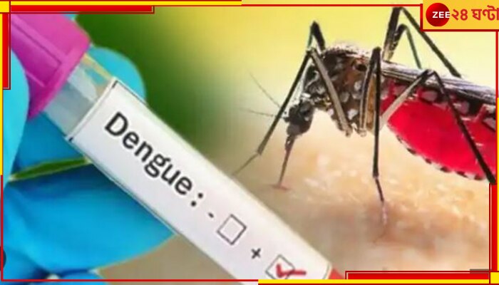 Dengue: ২৪ ঘণ্টার ফিভার ক্নিনিক, ডেঙ্গি মোকাবিলায় জারি একগুচ্ছ নির্দেশিকা....