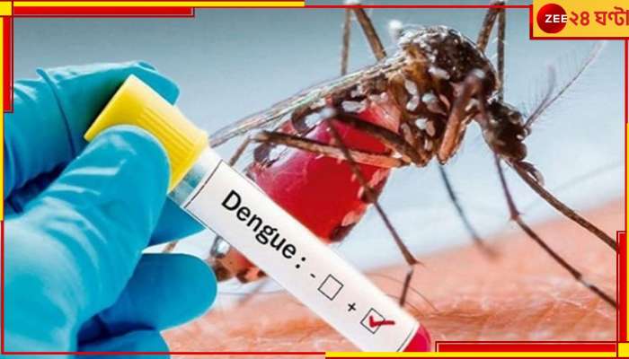 Dengue: কী কী উপসর্গ দেখলেই ডেঙ্গি টেস্ট মাস্ট? নির্দেশিকায় জানাল স্বাস্থ্যভবন