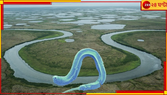 Siberian Permafrost: জাদু, না রহস্য? ৫০ হাজার বছরের কীট আজও দিব্যি বেঁচে বরফের পেটের ভিতরে!