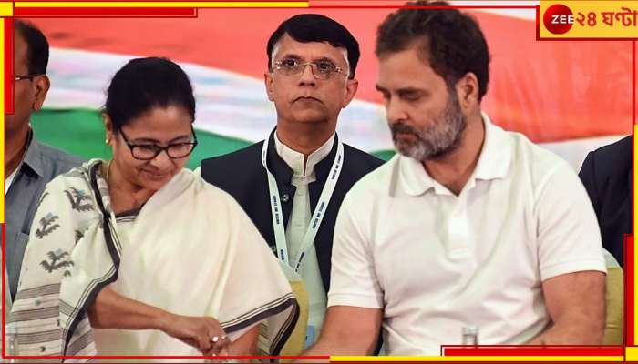 Mamata Banerjee: এই রায়ে I.N.D.I.A আরও শক্তিশালী হবে, রাহুলের ‘সুপ্রিম’ স্বস্তিতে খুশি মমতা