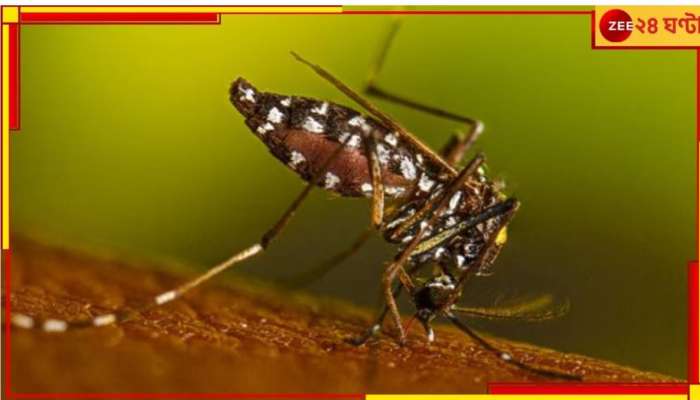 Dengue Death: এবারও সেই নদিয়া! রাজ্যে ডেঙ্গির বলি আরও ১