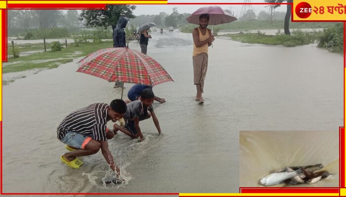 Malbazar: মৎস্যপুরাণ! রাতভর বৃষ্টির জেরে সড়ক থেকেই মিলছে দেদার মাছ...