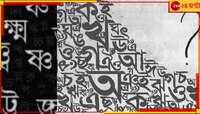 'যে যাই বলুক, বাংলায় থাকতে গেলে বাংলা ভাষাটা জানতেই হবে'