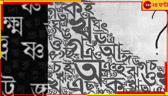 Bengali Language: &#039;যে যাই বলুক, বাংলায় থাকতে গেলে বাংলা ভাষাটা জানতেই হবে&#039;
