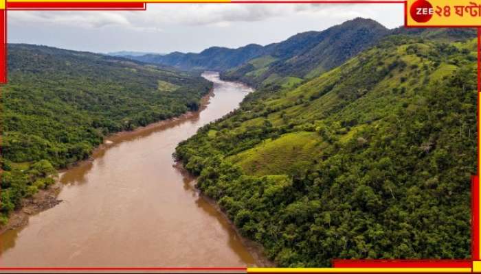 Amazon Rainforest: &#039;এখনই সাবধান না হলে আমরা নিশ্চিহ্ন হয়ে যাব!&#039; আমাজন নিয়ে উদ্বিগ্ন সারা বিশ্ব...