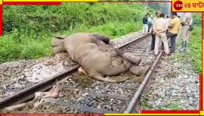 Malbazar: অন্তঃসত্ত্বা হাতিকে পিষে দিয়ে চলে গেল ট্রেন! ঘটনাস্থলেই মৃত্যু...