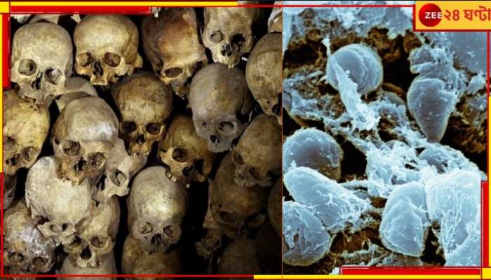 Bubonic Plague: করোনার থেকেও মারাত্মক এই &#039;ব্ল্যাক ডেথ&#039;! এ থেকেও হতে পারে ভয়ংকর মহামারি...