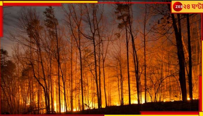 Hawaii Wildfires: আগুনে পুড়ে মৃত্যু প্রায় ১০০ জনের! শতাব্দীর ভয়াবহতম দাবানল...  