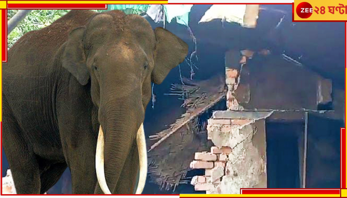 Malbazar: এলাকায় উপদ্রব ছিলই, এবার বুনো হাতির হামলায় মৃত্যু মহিলার...