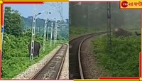 চালকের তৎপরতায় আশ্চর্যজনক ভাবে বেঁচে গেল রেললাইনে উঠে পড়া হাতি...