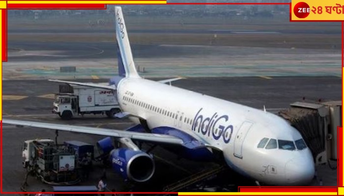 IndiGo Flight: বিমানবন্দরের গেটের সামনেই হার্ট অ্যাটাক পাইলটের! তারপর...
