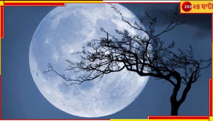 Blue Moon: বিরল যোগ! রাখি পূর্ণিমার সঙ্গে &#039;সুপার ব্লু মুন&#039;! কখন দেখা যাবে &#039;নীল চাঁদ&#039;? 