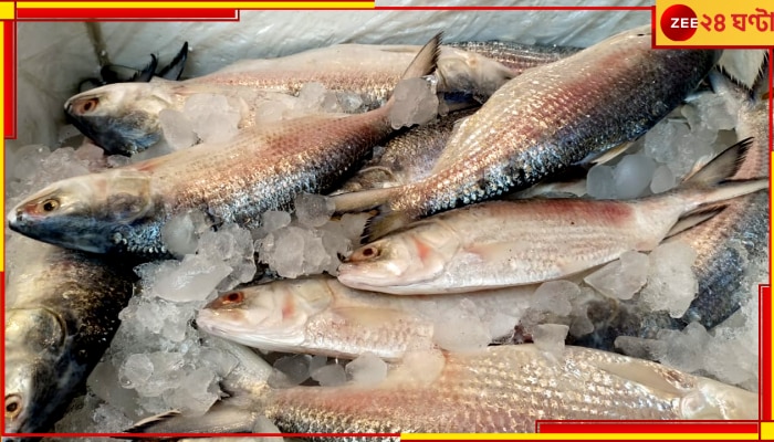 Bangladeshi Hilsa: রান্না পুজোর আগেই পাতে বাংলাদেশের ইলিশ! আশায় বুক বাঁধছে হিলসা অ্যাসোসিয়েশন