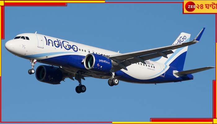 Indigo: ঘুমন্ত মহিলা যাত্রীর সঙ্গে অভব্যতা সহযাত্রীর, মাঝ আকাশে বিমানের মধ্যেই যৌন হেনস্থা!