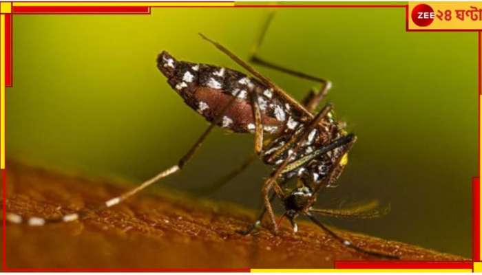 Dengue Death: ফের প্রাণ কাড়ল ডেঙ্গি, কলকাতায় মৃত্যু যুবকের
