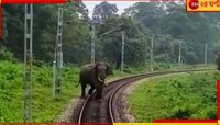 রেলচালকের তৎপরতায় আবারও প্রাণে বাঁচল বুনো হাতি...