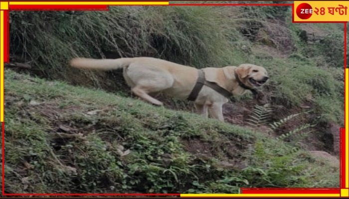 Army Canine Kent Dead: রাজৌরির গুলির লড়াইয়ে জওয়ানদের বাঁচিয়ে শহিদ সেনা কুকুর কেন্ট