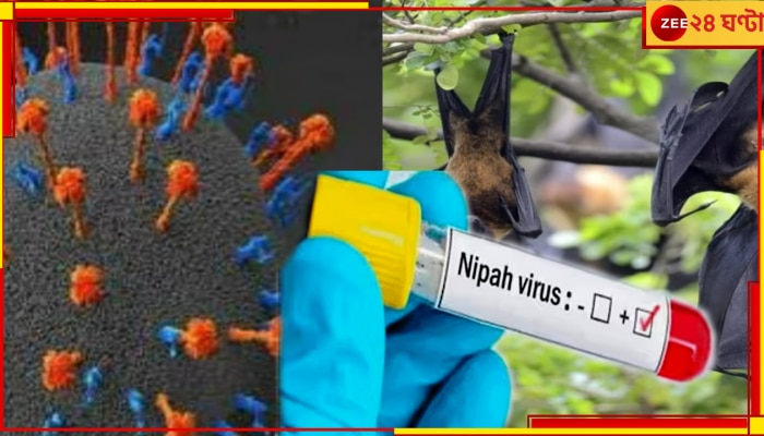 Nipah Virus: রাজ্যে নিপা ভাইরাসে আক্রান্ত ৫; সন্দেহের তালিকায় ৭৭, লকডাউনের পথে কেরালা! 