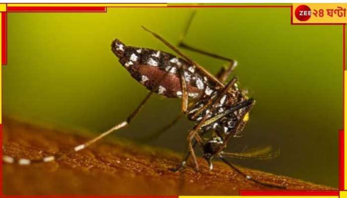 Dengue Death: &#039;ডেঙ্গি হলে শুধুমাত্র প্য়ারাসিটামল খান&#039;, নবান্নে বৈঠক স্বরাষ্ট্রসচিবের