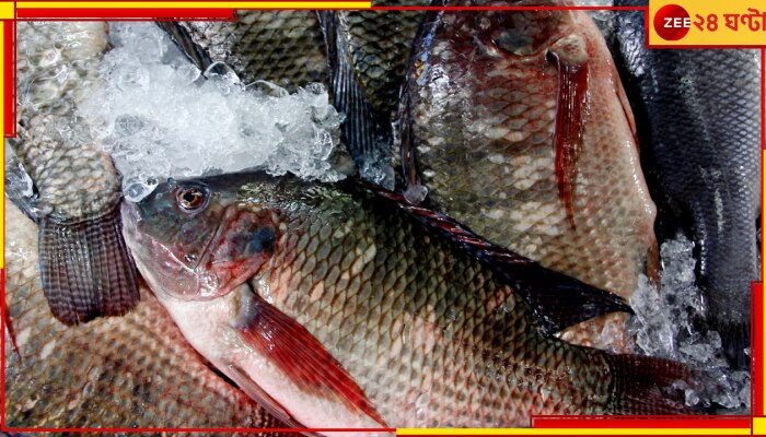 Tilapia Fish: ভয়ংকর! আধসেদ্ধ তেলাপিয়া খেয়ে খসে পড়ল গৃহবধূর হাত-পা