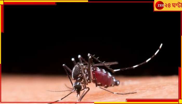 Dengue Viral Fever differences: সব ভাইরাল জ্বর ডেঙ্গি নয়! কীভাবে বুঝবেন পার্থক্য